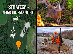 Illinois Buck: Hunting After the Peak of the Rut