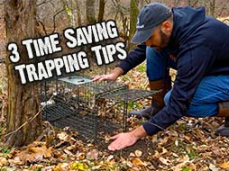 3 Tips for Trapping Nest Predators | See More Turkeys Next Spring