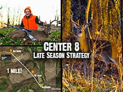 Hunt food sources during the late season! 