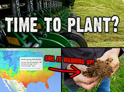 The Best Guide on When To Plant Food Plots