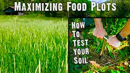 Step by Step Guide to Soil Testing Food Plots