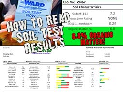 Soil Test Results: What do They Mean?