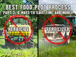4 Ways to Save Time and Money on Food Plots