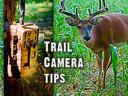 Trail Camera Tips: Where and How to Place Cameras