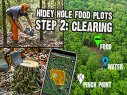 New Hidey Hole Food Plot - Step 2: Clearing