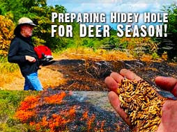 New Food Plots: The Last Step to Attract Bucks for Deer Season
